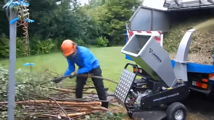 cherry tree pruning