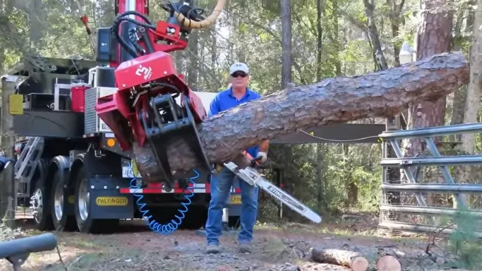 tree planting services