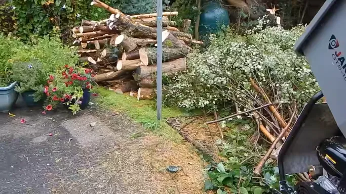 tree mulching