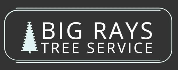 Tree Service Logo